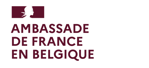 www.francebelgiqueculture.com